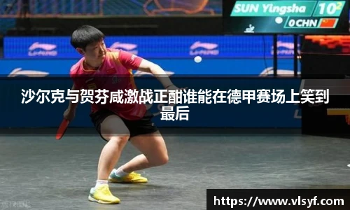 沙尔克与贺芬咸激战正酣谁能在德甲赛场上笑到最后